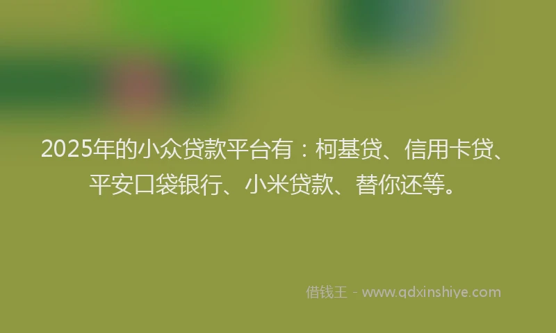2025年的小众贷款平台有：柯基贷、信用卡贷、平安口袋银行、小米贷款、替你还等。