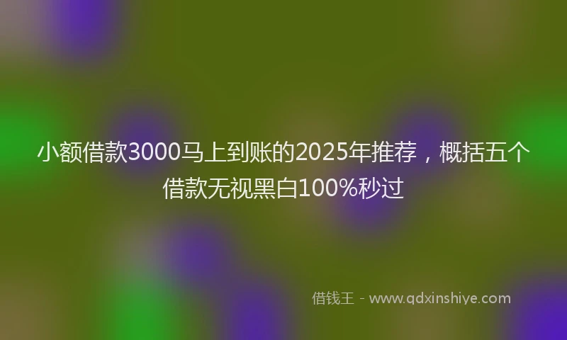 小额借款3000马上到账的2025年推荐，概括五个借款无视黑白100%秒过