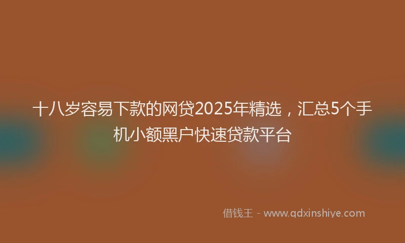 十八岁容易下款的网贷2025年精选，汇总5个手机小额黑户快速贷款平台