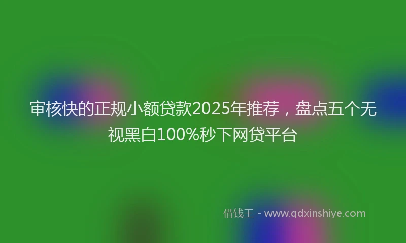 审核快的正规小额贷款2025年推荐，盘点五个无视黑白100%秒下网贷平台
