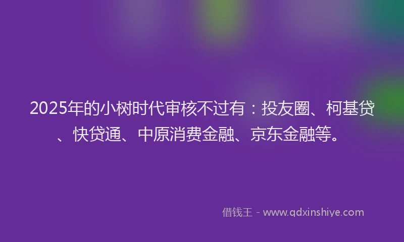 2025年的小树时代审核不过有：投友圈、柯基贷、快贷通、中原消费金融、京东金融等。