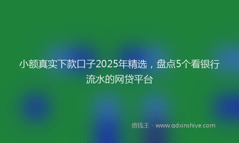 小额真实下款口子2025年精选，盘点5个看银行流水的网贷平台
