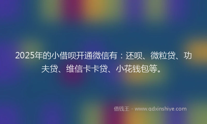 2025年的小借呗开通微信有：还呗、微粒贷、功夫贷、维信卡卡贷、小花钱包等。