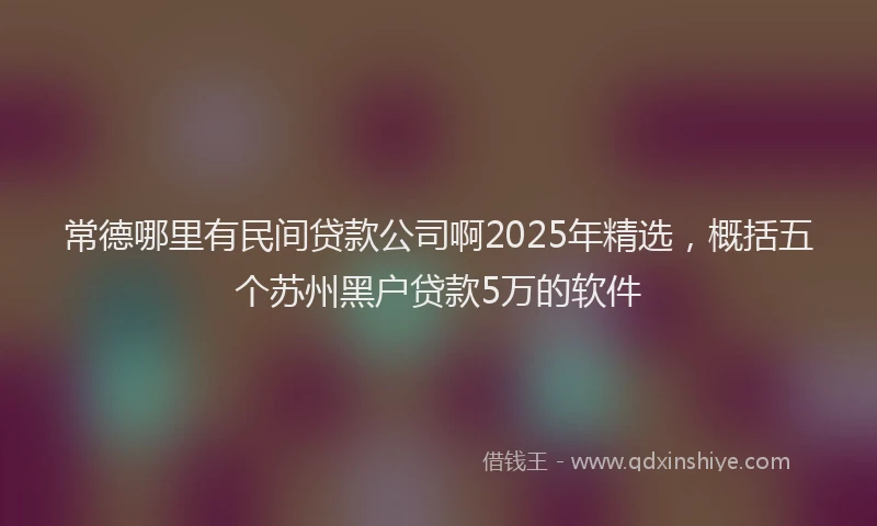 常德哪里有民间贷款公司啊2025年精选，概括五个苏州黑户贷款5万的软件