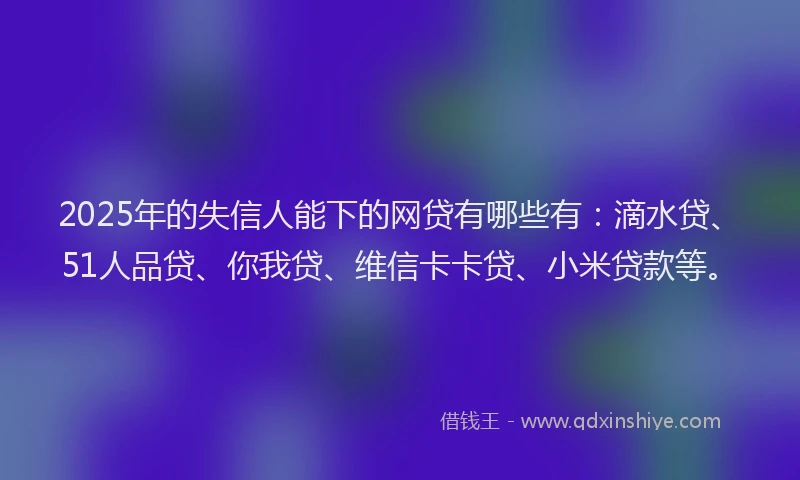 2025年的失信人能下的网贷有哪些有：滴水贷、51人品贷、你我贷、维信卡卡贷、小米贷款等。