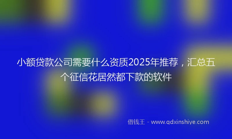 小额贷款公司需要什么资质2025年推荐，汇总五个征信花居然都下款的软件