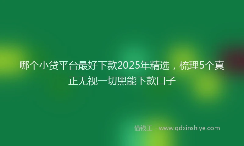 哪个小贷平台最好下款2025年精选，梳理5个真正无视一切黑能下款口子