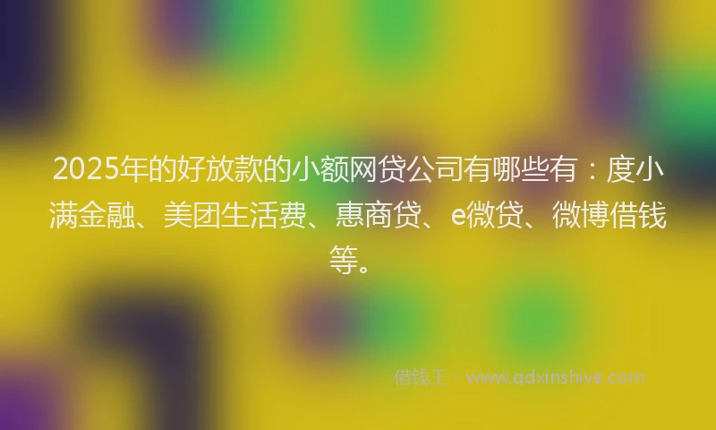 2025年的好放款的小额网贷公司有哪些有：度小满金融、美团生活费、惠商贷、e微贷、微博借钱等。