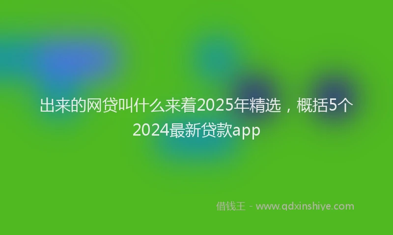 出来的网贷叫什么来着2025年精选，概括5个2024最新贷款app