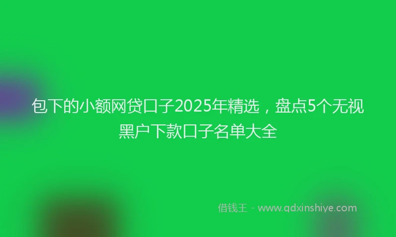 包下的小额网贷口子2025年精选，盘点5个无视黑户下款口子名单大全