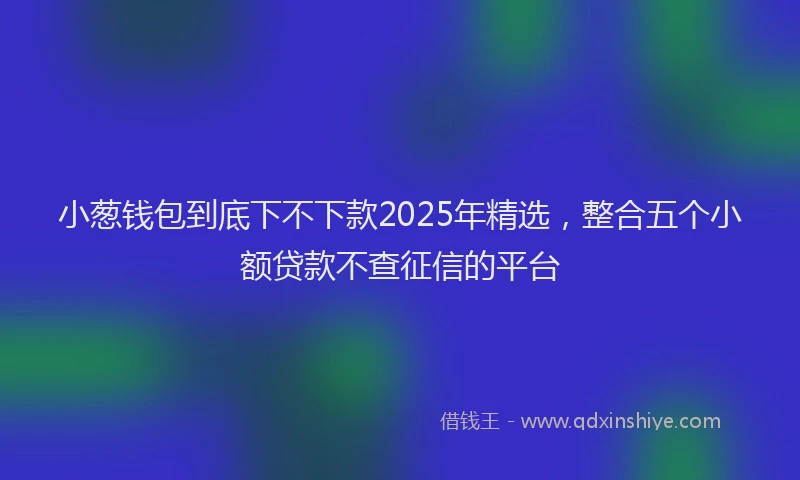 小葱钱包到底下不下款2025年精选，整合五个小额贷款不查征信的平台