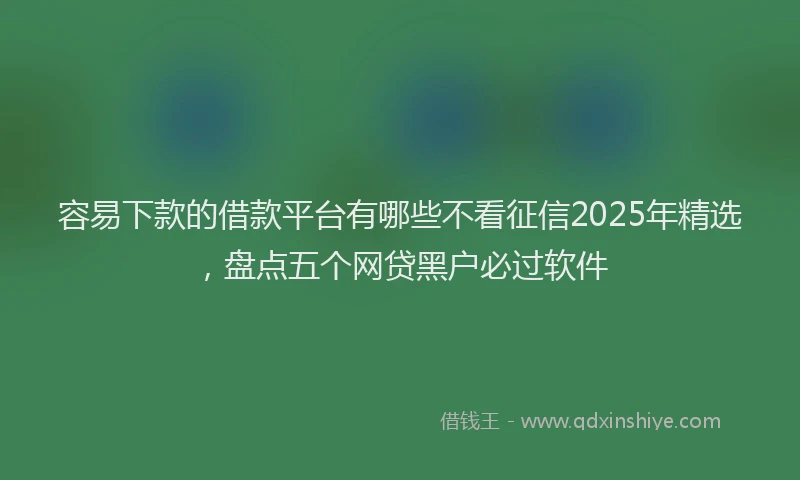 容易下款的借款平台有哪些不看征信2025年精选，盘点五个网贷黑户必过软件