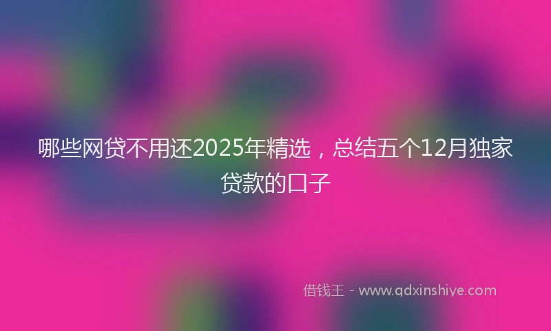 哪些网贷不用还2025年精选，总结五个12月独家贷款的口子