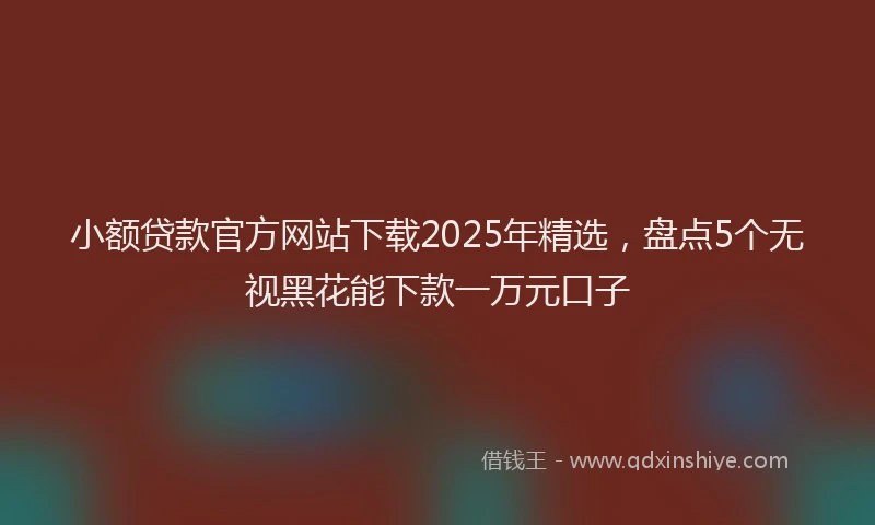 小额贷款官方网站下载2025年精选，盘点5个无视黑花能下款一万元口子
