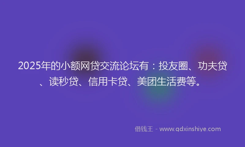 2025年的小额网贷交流论坛有：投友圈、功夫贷、读秒贷、信用卡贷、美团生活费等。
