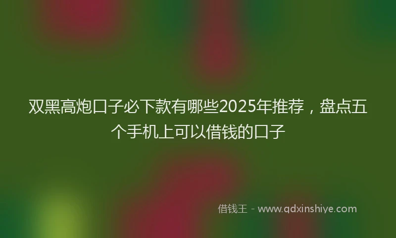 双黑高炮口子必下款有哪些2025年推荐，盘点五个手机上可以借钱的口子