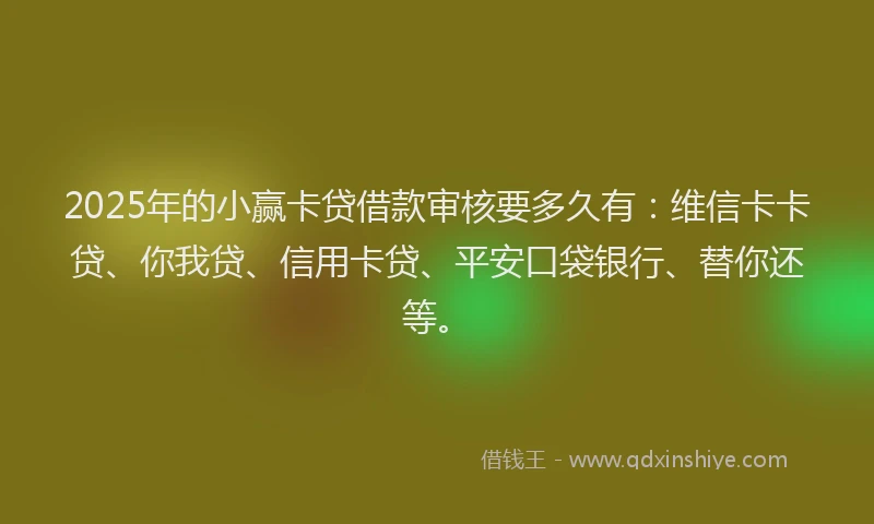 2025年的小赢卡贷借款审核要多久有：维信卡卡贷、你我贷、信用卡贷、平安口袋银行、替你还等。