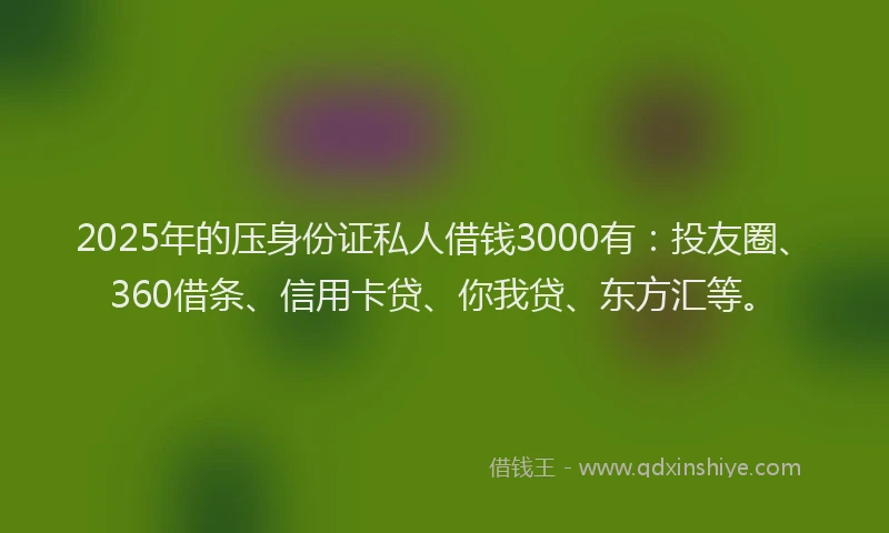 2025年的压身份证私人借钱3000有：投友圈、360借条、信用卡贷、你我贷、东方汇等。