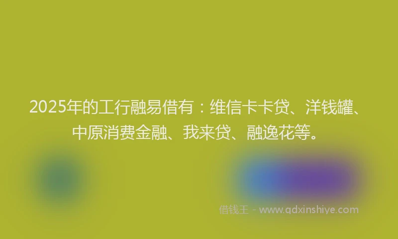 2025年的工行融易借有：维信卡卡贷、洋钱罐、中原消费金融、我来贷、融逸花等。