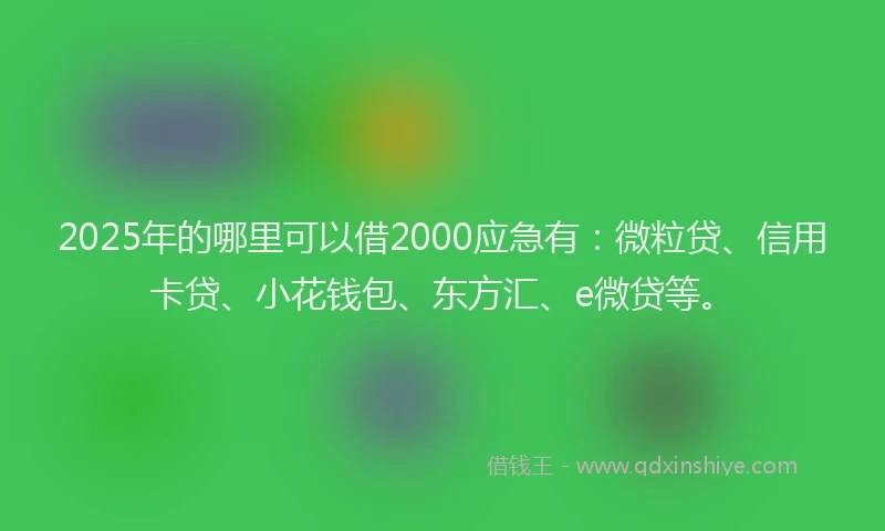 2025年的哪里可以借2000应急有：微粒贷、信用卡贷、小花钱包、东方汇、e微贷等。