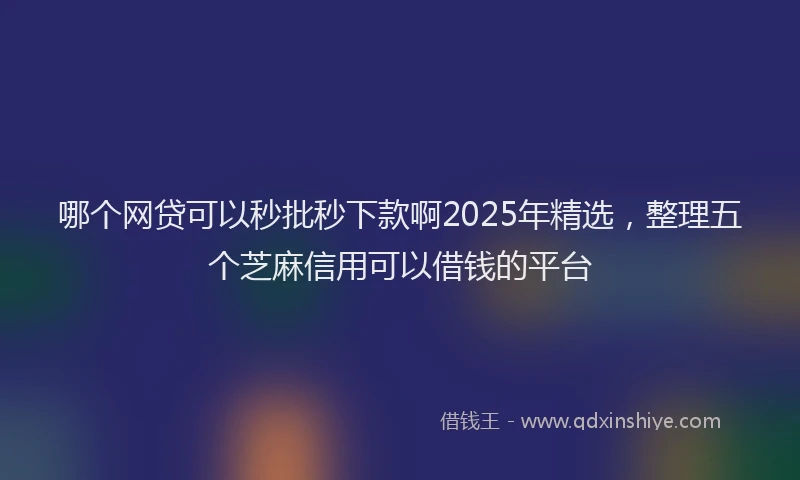 哪个网贷可以秒批秒下款啊2025年精选，整理五个芝麻信用可以借钱的平台
