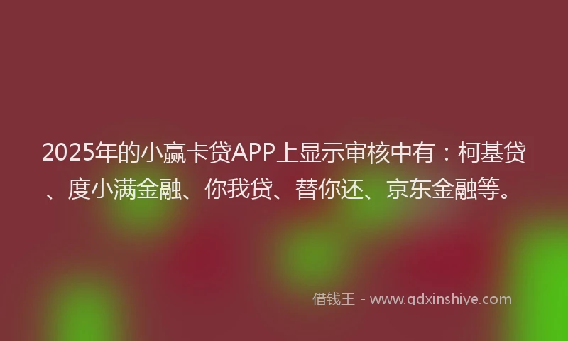 2025年的小赢卡贷APP上显示审核中有：柯基贷、度小满金融、你我贷、替你还、京东金融等。