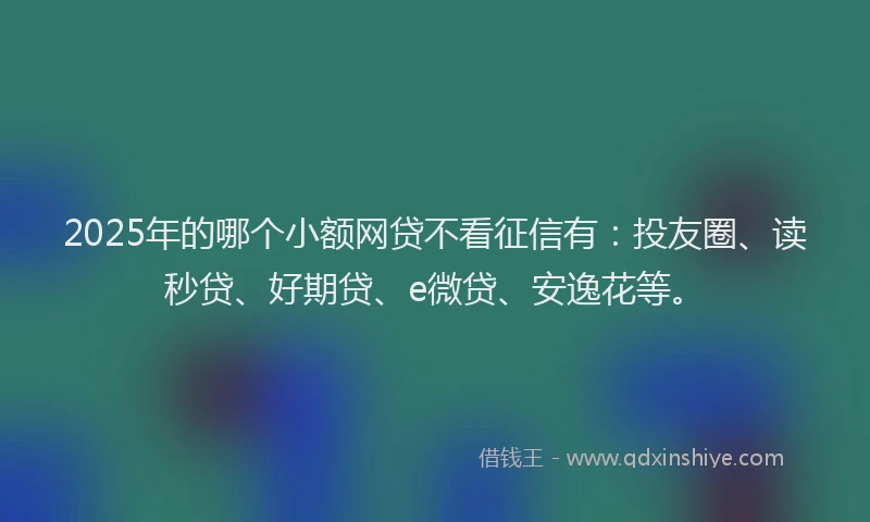 2025年的哪个小额网贷不看征信有：投友圈、读秒贷、好期贷、e微贷、安逸花等。