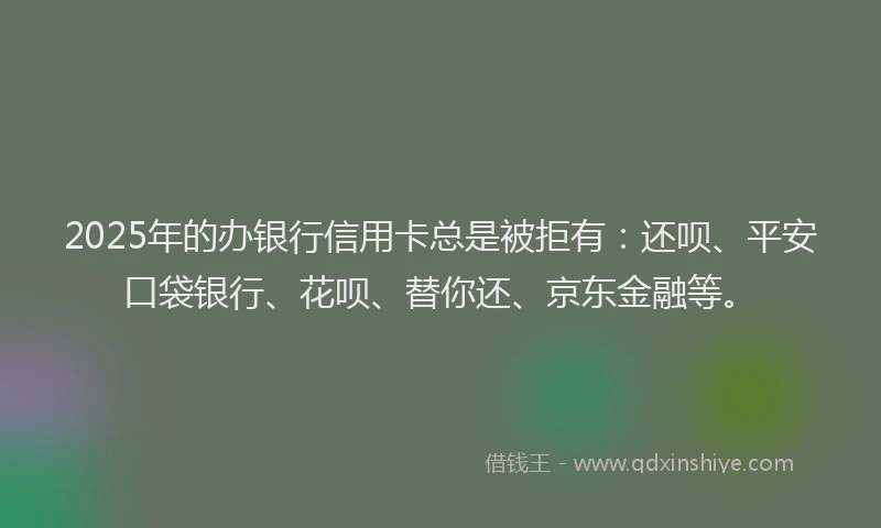 2025年的办银行信用卡总是被拒有：还呗、平安口袋银行、花呗、替你还、京东金融等。
