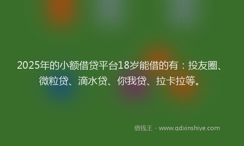 2025年的小额借贷平台18岁能借的有：投友圈、微粒贷、滴水贷、你我贷、拉卡拉等。