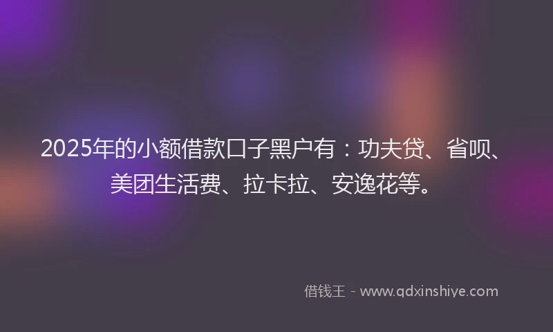 2025年的小额借款口子黑户有：功夫贷、省呗、美团生活费、拉卡拉、安逸花等。
