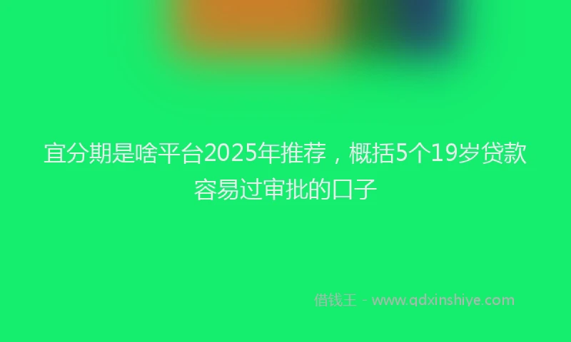 宜分期是啥平台2025年推荐，概括5个19岁贷款容易过审批的口子