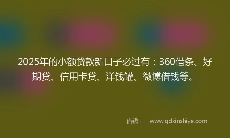 2025年的小额贷款新口子必过有：360借条、好期贷、信用卡贷、洋钱罐、微博借钱等。