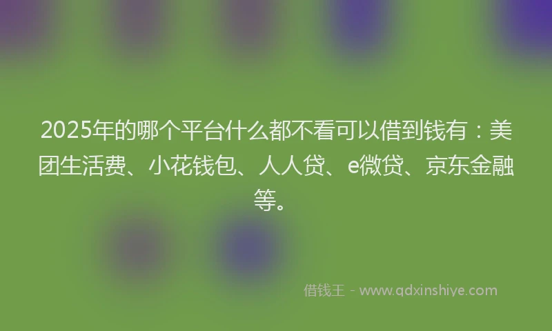 2025年的哪个平台什么都不看可以借到钱有：美团生活费、小花钱包、人人贷、e微贷、京东金融等。