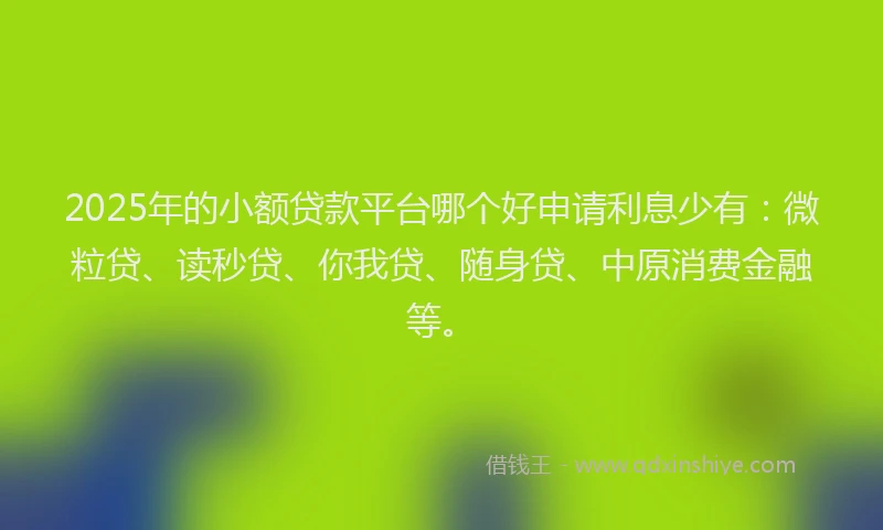 2025年的小额贷款平台哪个好申请利息少有：微粒贷、读秒贷、你我贷、随身贷、中原消费金融等。