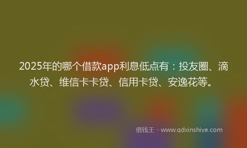 2025年的哪个借款app利息低点有：投友圈、滴水贷、维信卡卡贷、信用卡贷、安逸花等。