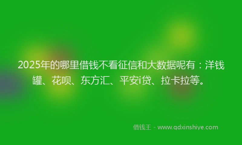 2025年的哪里借钱不看征信和大数据呢有：洋钱罐、花呗、东方汇、平安i贷、拉卡拉等。