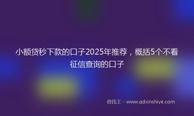 小额贷秒下款的口子2025年推荐，概括5个不看征信查询的口子