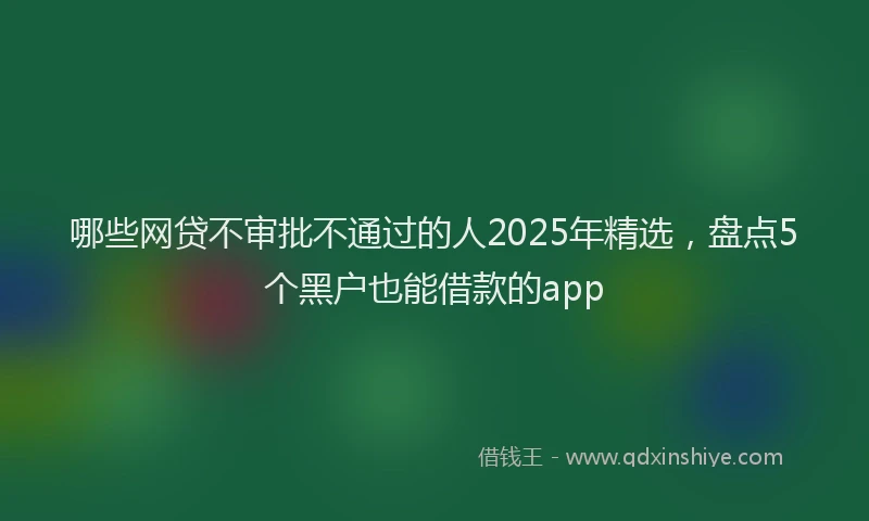 哪些网贷不审批不通过的人2025年精选，盘点5个黑户也能借款的app