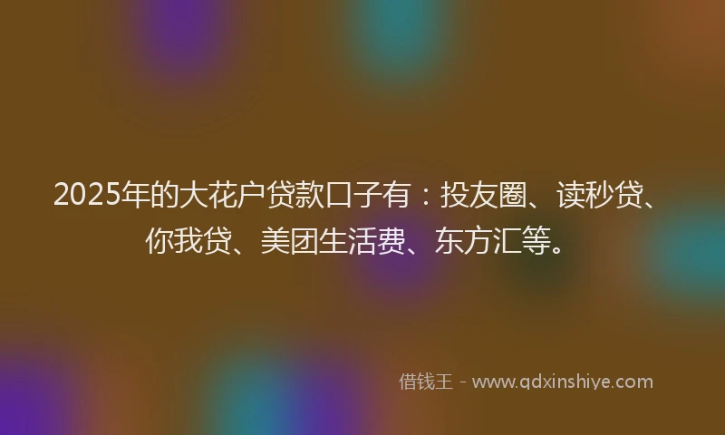 2025年的大花户贷款口子有：投友圈、读秒贷、你我贷、美团生活费、东方汇等。