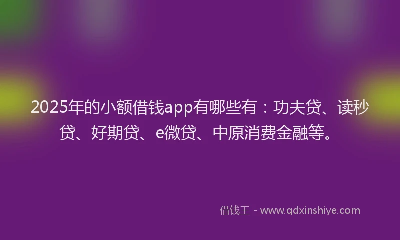 2025年的小额借钱app有哪些有：功夫贷、读秒贷、好期贷、e微贷、中原消费金融等。