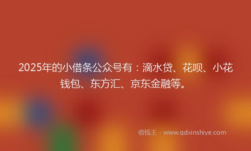 2025年的小借条公众号有：滴水贷、花呗、小花钱包、东方汇、京东金融等。