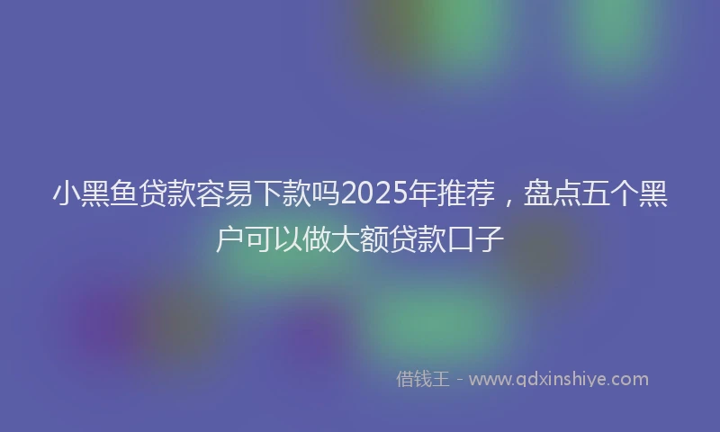 小黑鱼贷款容易下款吗2025年推荐，盘点五个黑户可以做大额贷款口子