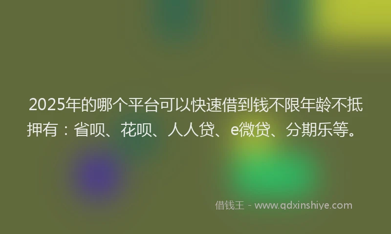 2025年的哪个平台可以快速借到钱不限年龄不抵押有：省呗、花呗、人人贷、e微贷、分期乐等。