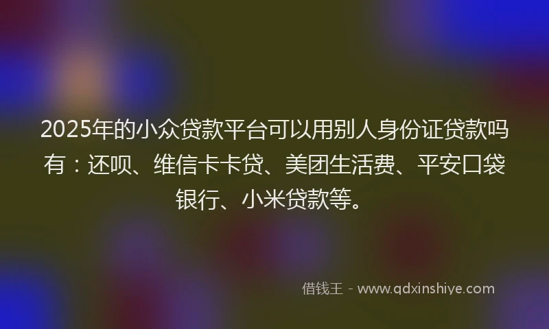 2025年的小众贷款平台可以用别人身份证贷款吗有：还呗、维信卡卡贷、美团生活费、平安口袋银行、小米贷款等。