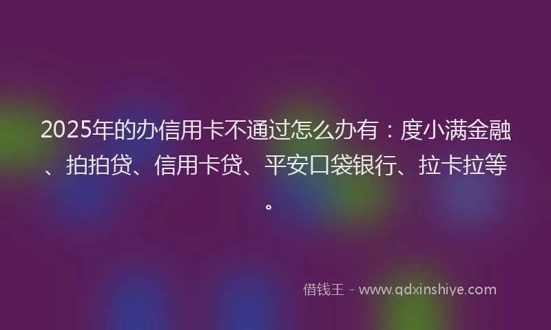 2025年的办信用卡不通过怎么办有：度小满金融、拍拍贷、信用卡贷、平安口袋银行、拉卡拉等。