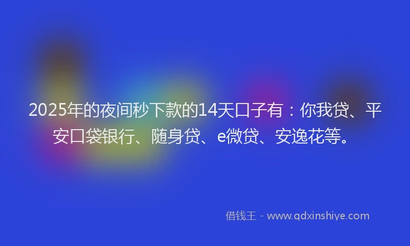 2025年的夜间秒下款的14天口子有：你我贷、平安口袋银行、随身贷、e微贷、安逸花等。