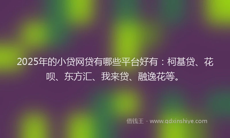 2025年的小贷网贷有哪些平台好有：柯基贷、花呗、东方汇、我来贷、融逸花等。
