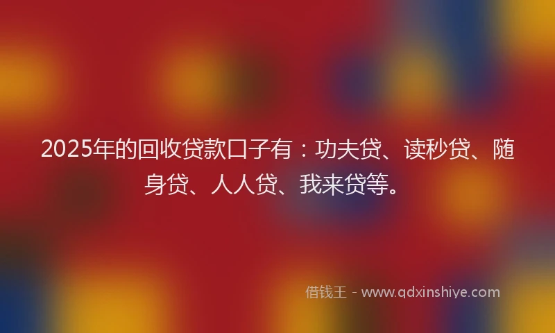 2025年的回收贷款口子有：功夫贷、读秒贷、随身贷、人人贷、我来贷等。