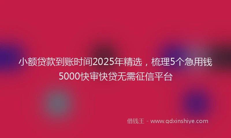 小额贷款到账时间2025年精选，梳理5个急用钱5000快审快贷无需征信平台