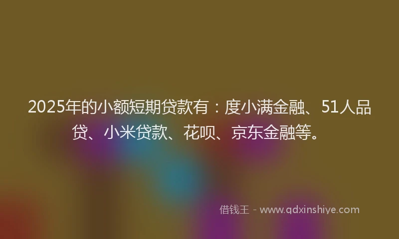 2025年的小额短期贷款有：度小满金融、51人品贷、小米贷款、花呗、京东金融等。